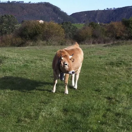La Casuca Del Esbardu