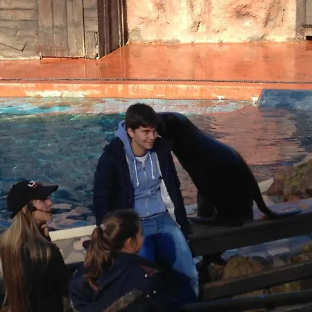 La Casuca Del Esbardu Vilde