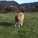 La Casuca Del Esbardu